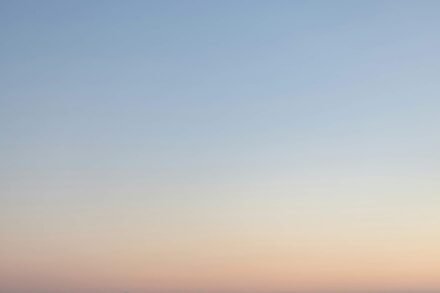 Assure polite his really and others figure though